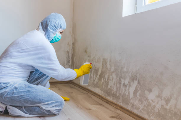 Licensed Crawl Space Mold Remediation service in San Antonio, TX - Car Mold Remediation