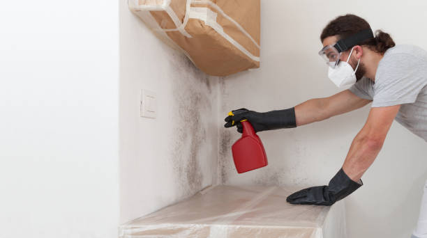Professional Crawl Space Mold Remediation technician working in San Antonio, TX